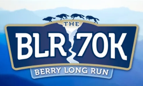 Berry Long Run