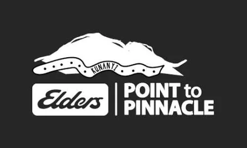 Point to Pinnacle
