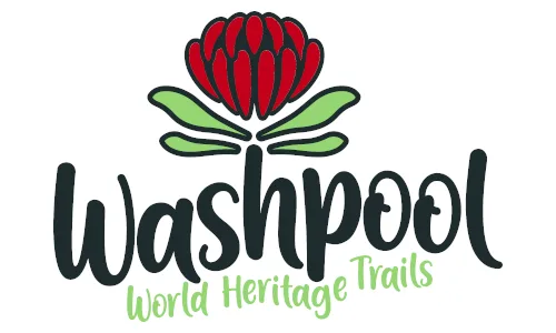 Washpool World Heritage Trail Race